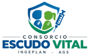 Consorcio Escudo Vital · Ingeplan - AGS